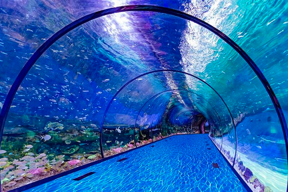 The National Aquarium Abu Dhabi